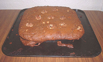 Home-made ginger cake